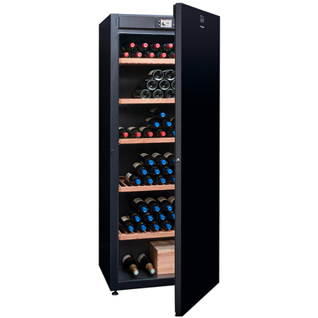 Cave de vieillissement AVINTAGE DVA305P
