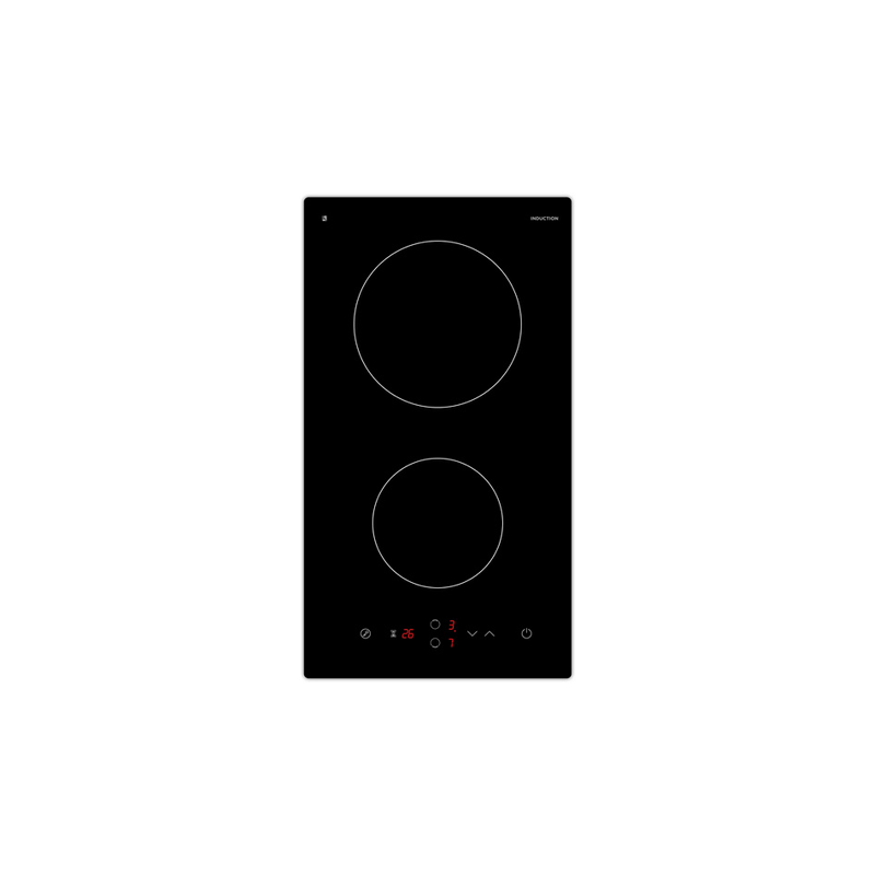 Plaque induction PROLINE IH 235 T 2 FEUX