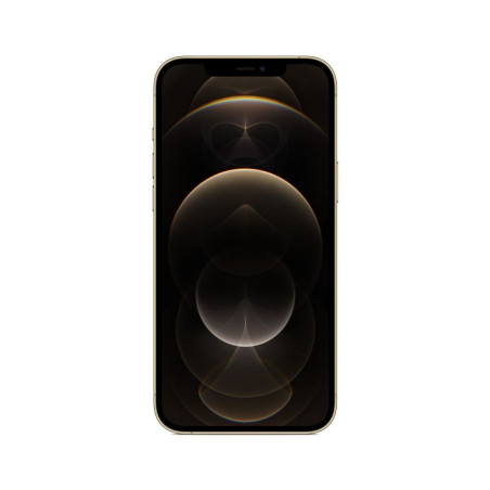 iPhone 12 Pro Max 6,7" 128 Go Double SIM 5G Or