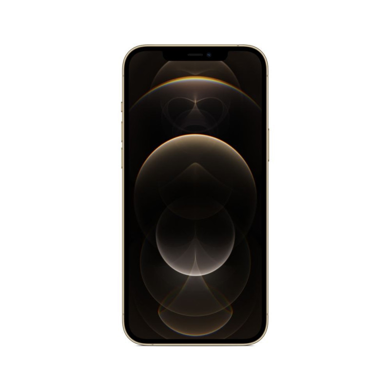 iPhone 12 Pro Max 6.7" 256GB Dual SIM 5G Pacific Blue