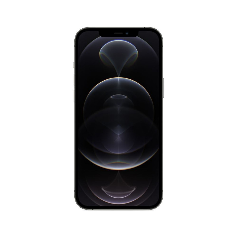 iPhone 12 Pro Max 6,7" 128 Go Double SIM 5G Graphite