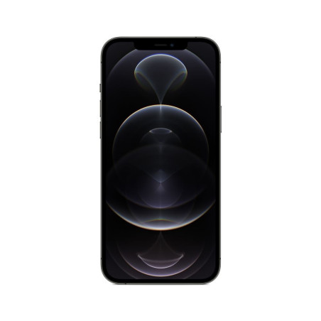 iPhone 12 Pro Max 6,7" 128 Go Double SIM 5G Graphite