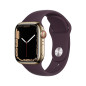 Apple Watch Series 7 GPS + Cellular, caja de acero inoxidable de oro de 41 mm con correa de cereza negra Apple Watch Series 7 GPS + Cellular, caja de acero inoxidable de oro de 41 mm con correa de cereza negra