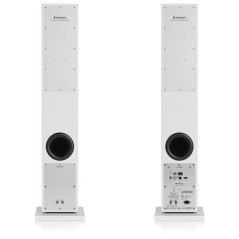 Altavoces inteligentes inalámbricos Bluetooth Hi-Fi Audio Pro A38 blanco