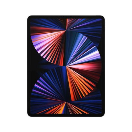 iPad Pro 11 "Chip Apple M1 256GB WiFi + Cellular 3ª generación Gris espacial mediados de 2021