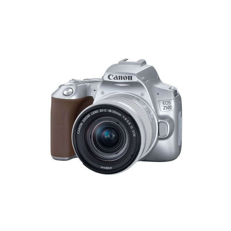 EOS 250D Silver Canon DSLR + objetivo EF-S 18-55mm f/4-5.6 IS STM